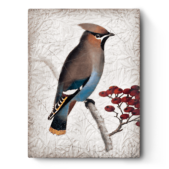 Waxwing