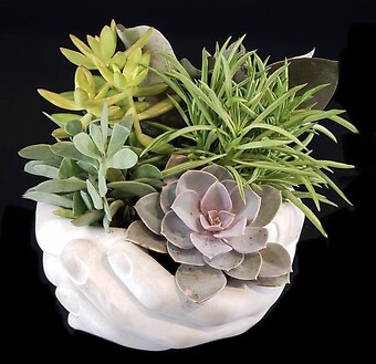 Helping hands succulent planter