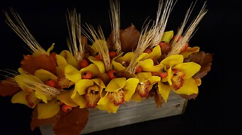 Cymbidium orchid box