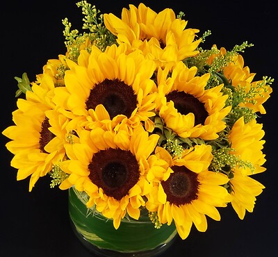 SunnyFlowers