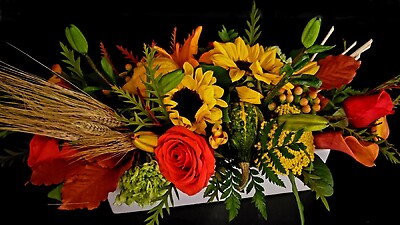 Thanksgiving celebration